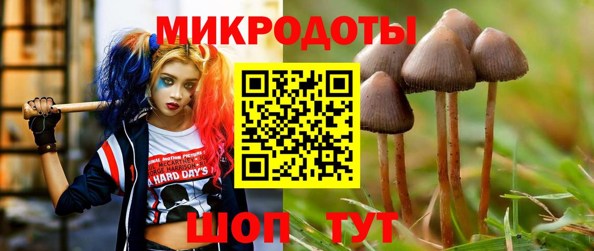 Псилоцибиновые грибы мицелий Фролово
